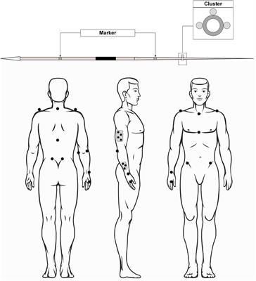 How the acceleration phase influences energy flow and the resulting joint moments of the throwing shoulder in the deceleration phase of the javelin throw